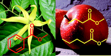 Graphical abstract: Clean preparation of methyl esters in one-step oxidative esterification of primary alcohols catalyzed by supported gold nanoparticles
