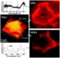 Graphical abstract: Characteristics of surface-enhanced Raman scattering and surface-enhanced fluorescence using a single and a double layer gold nanostructure