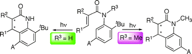 Graphical abstract: 6π-Photocyclization of O-tert-butylacrylanilides. N-substitution dictates the regiochemistry of cyclization