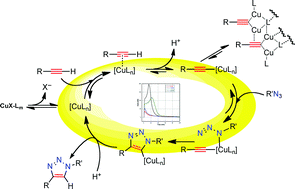 Graphical abstract: Copper-catalyzed azide–alkyne cycloaddition (CuAAC) and beyond: new reactivity of copper(i) acetylides