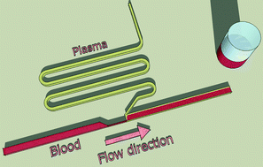 Graphical abstract: High flow rate microfluidic device for blood plasma separation using a range of temperatures