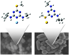 Graphical abstract: High performance gold nanorods and silver nanocubes in surface-enhanced Raman spectroscopy of pesticides