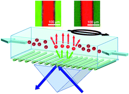 Graphical abstract: Electrospun light-emitting nanofibers as excitation source in microfluidic devices