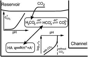 Graphical abstract: Basic principles of electrolyte chemistry for microfluidic electrokinetics. Part I: Acid–base equilibria and pH buffers