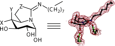 Graphical abstract: Glycosidase inhibition by ring-modified castanospermine analogues: tackling enzyme selectivity by inhibitor tailoring