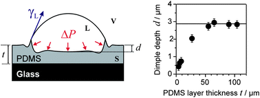 Graphical abstract: Solid-supported thin elastomer films deformed by microdrops