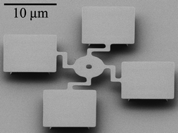 Graphical abstract: Detection of prostate specific antigen with nanomechanical resonators