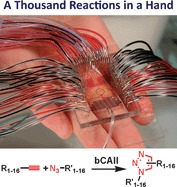 Graphical abstract: An integrated microfluidic device for large-scale in situ click chemistry screening