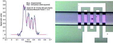Graphical abstract: A microwave interferometric system for simultaneous actuation and detection of single biological cells