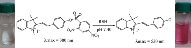 Graphical abstract: A colorimetric and fluorescent merocyanine-based probe for biological thiols