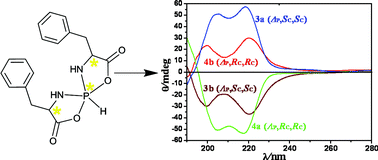 Graphical abstract: Chirality at phosphorus in pentacoordinate spirophosphoranes: stereochemistry by X-ray structure and spectroscopic analysis