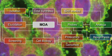 Graphical abstract: Natural product mode of action (MOA) studies: a link between natural and synthetic worlds