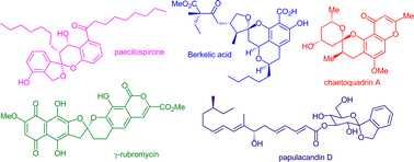 Graphical abstract: Isolation, biological activity and synthesis of benzannulated spiroketal natural products