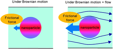 Graphical abstract: Diffusion coefficients for nanoparticles under flow and stop-flow conditions