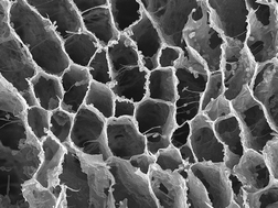 Graphical abstract: Fabrication of ice-templated macroporous TiO2–chitosan scaffolds for photocatalytic applications