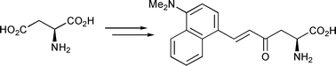 Graphical abstract: Synthesis of fluorescent enone derived α-amino acids