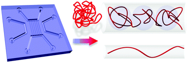 Graphical abstract: DNA in nanochannels—directly visualizing genomic information