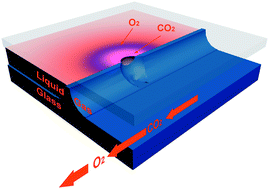 Graphical abstract: A micro surface tension alveolus (MISTA) in a glass microchip