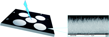 Graphical abstract: Lithographically patterned silicon nanowire arrays for matrix free LDI-TOF/MS analysis of lipids