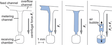 Graphical abstract: Centrifugo-pneumatic valve for metering of highly wetting liquids on centrifugal microfluidic platforms