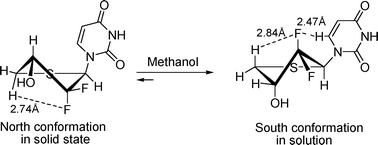 Graphical abstract: Synthesis and conformational analysis of d-2′-deoxy-2′,2′-difluoro-4′-dihydro-4′-thionucleosides
