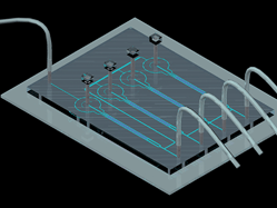 Graphical abstract: Towards a human-on-chip: Culturing multiple cell types on a chip with compartmentalized microenvironments