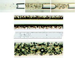 Graphical abstract: Lipase-catalyzed synthesis of isoamyl acetate in an ionic liquid/n–heptane two-phase system at the microreactor scale