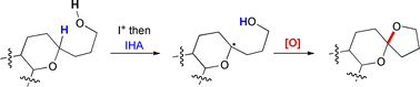 Graphical abstract: Synthesis of natural products containing spiroketals via intramolecular hydrogen abstraction