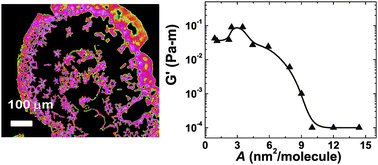 Graphical abstract: Growth, self-assembly and dynamics of nano-scale films at fluid interfaces