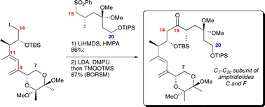 Graphical abstract: Efficient synthesis of the C7-C20 subunit of amphidinolides C and F