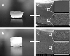 Graphical abstract: Poly(ethylene glycol) cryogels as potential cell scaffolds: effect of polymerization conditions on cryogel microstructure and properties