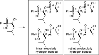 Graphical abstract: A synthesis of oligomeric α-hydroxy phenylphosphinates and a study of the conformational preferences of the dimers
