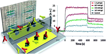 Graphical abstract: Parallel microfluidic surface plasmon resonance imaging arrays