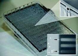 Graphical abstract: Lateral patch-clamping in a standard 1536-well microplate format