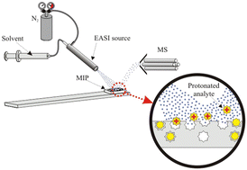 Graphical abstract: Molecularly imprinted polymers as analyte sequesters and selective surfaces for easy ambient sonic-spray ionization