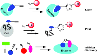 Graphical abstract: The use of click chemistry in the emerging field of catalomics