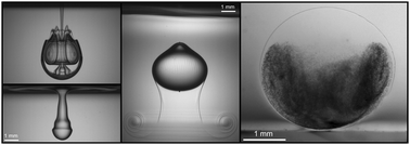 Graphical abstract: Formation of liquid-core capsules having a thin hydrogel membrane: liquid pearls