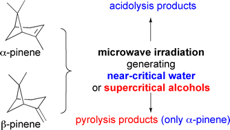 Graphical abstract: Fate of monoterpenes in near-critical water and supercritical alcohols assisted by microwave irradiation