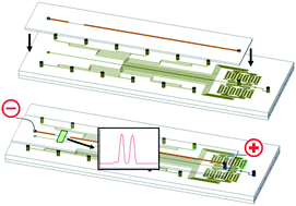 Graphical abstract: Hybrid integrated PDMS microfluidics with a silica capillary