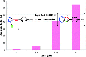 Graphical abstract: Cyclization kinetics and biological evaluation of an anticancer 1,2-dialkynylimidazole