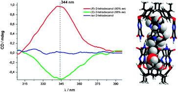 Graphical abstract: Enantioselective helical folding inside a self-assembled, cylindrical capsule