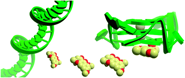 Graphical abstract: Identification of natural product Fonsecin B as a stabilizing ligand of c-myc G-quadruplex DNA by high-throughput virtual screening