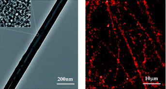 Graphical abstract: Fluorescent composite tubes with pH-controlled shapes