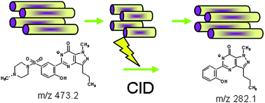 Graphical abstract: Development of a screening method for the detection of analogues of sildenafil and vardenafil by the use of liquid chromatograph coupled with triple quadrupole linear ion trap mass spectrometer
