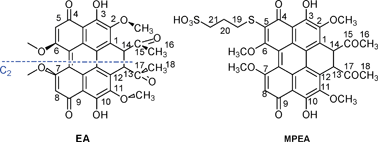 Graphical abstract: A novel elsinochrome A derivative: a study of drug delivery and photodynamic activity