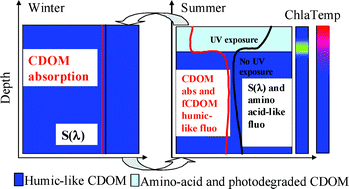 Graphical abstract: Spatial and seasonal changes in optical properties of autochthonous and allochthonous chromophoric dissolved organic matter in a stratified mountain lake