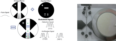 Graphical abstract: Human mammalian cell sorting using a highly integrated micro-fabricated fluorescence-activated cell sorter (μFACS)