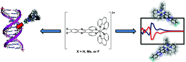 Graphical abstract: Substituted dipyridophenazine complexes of Cr(iii): Synthesis, enantiomeric resolution and binding interactions with calf thymus DNA