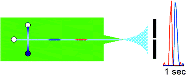 Graphical abstract: Chip electrophoresis with mass spectrometric detection in record speed