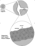 Graphical abstract: Immobilization of molecular catalysts in supported ionic liquid phases